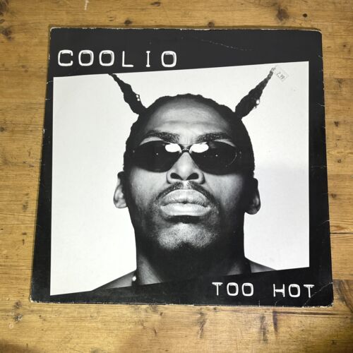 Coolio - Too Hot - 12" Vinyl Record